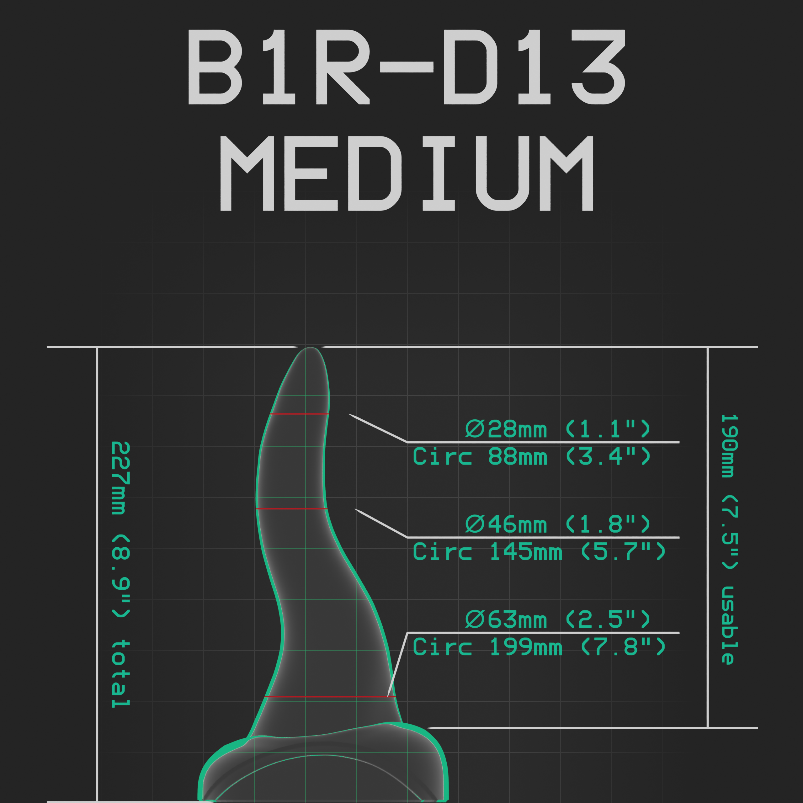 B1R-D13 - Image 2