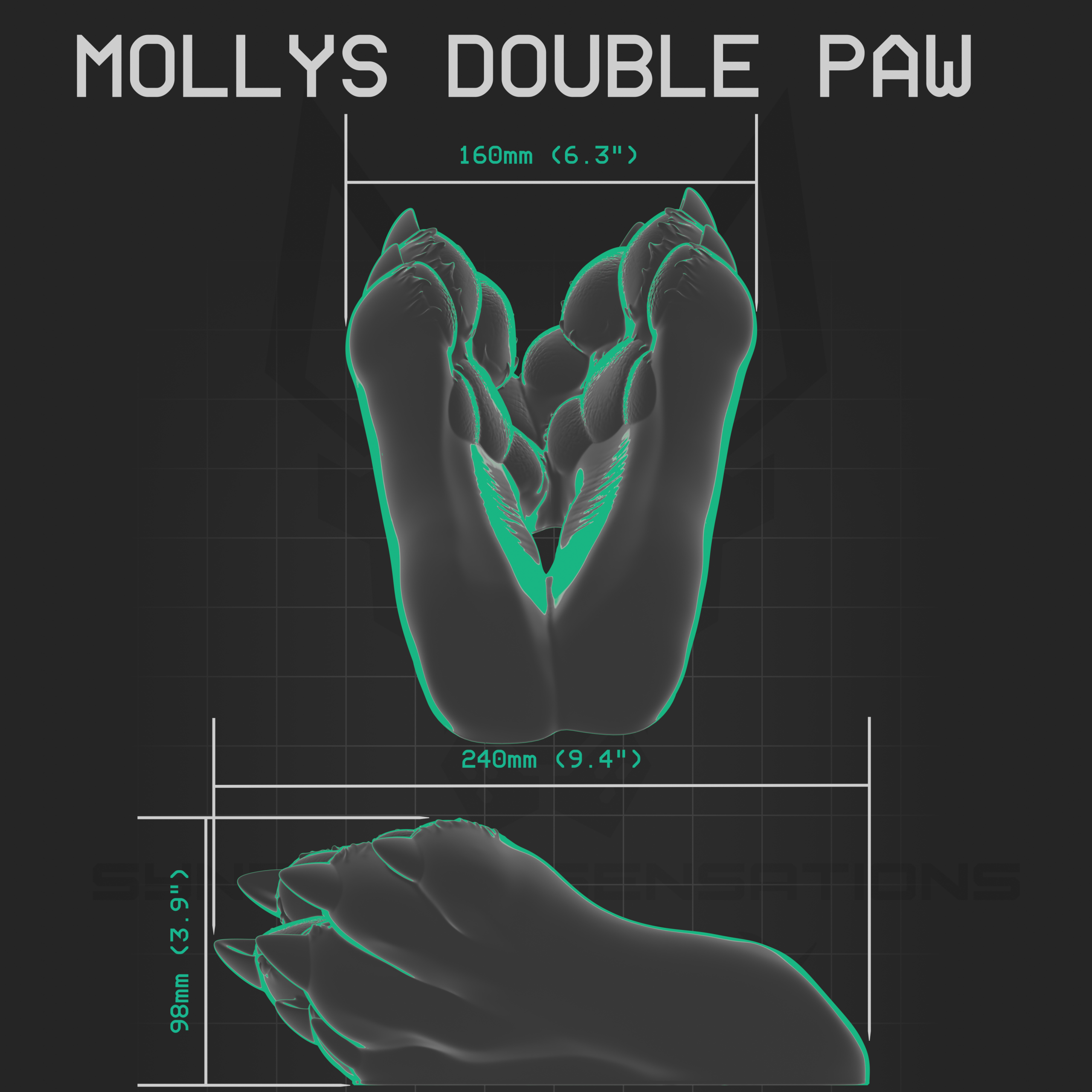 Mollys double paw - Image 4