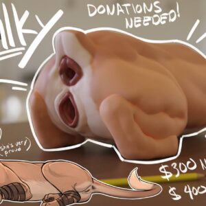 4Paws internal order